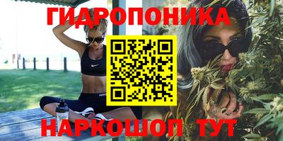 кокс Можга