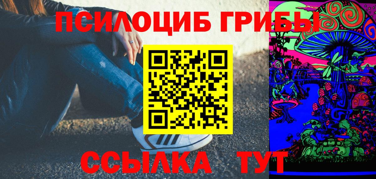 Галлюциногенные грибы Psilocybine cubensis Дербент